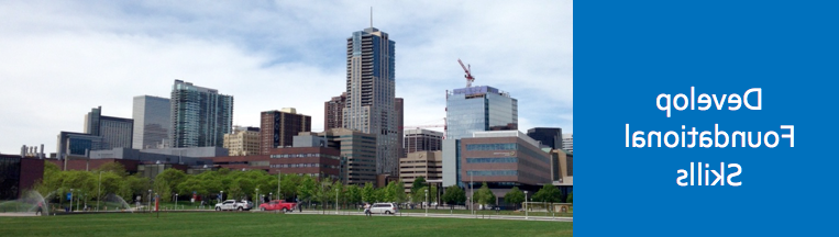 MSU Denver Campus: Develop Foundational Skills