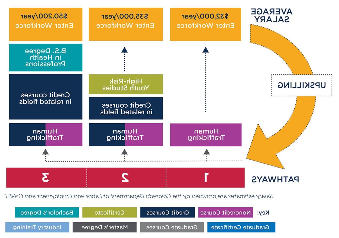 Graphic showing pathways to either enter the workforce after taking the Human Trafficking course or to convert the course to credit and continue towards a degree at MSU Denver.